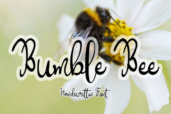 Enhance Your Brand with Bumble Bee: A Charming Script Font