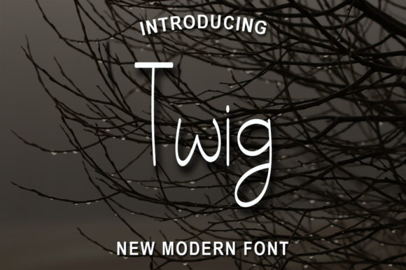 Twig: A Handwritten Font for Engaging Campaigns